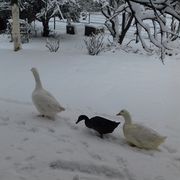 QUELQUES CHIFFRES