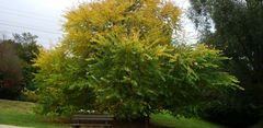 DSC01653.JPG