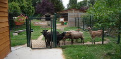 DSC01008.JPG